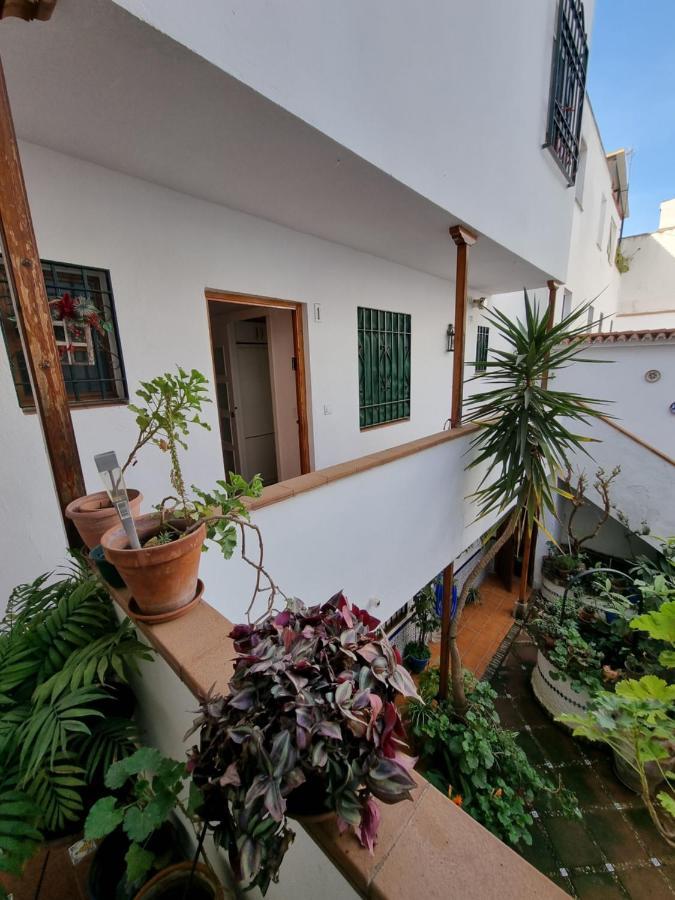 Apartamentos El Alcazar Viejo  Córdoba Exterior foto